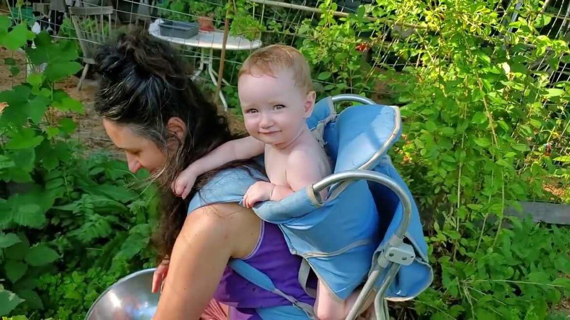 Home Garden – Detailed Tour Home Garden - Detailed Tour