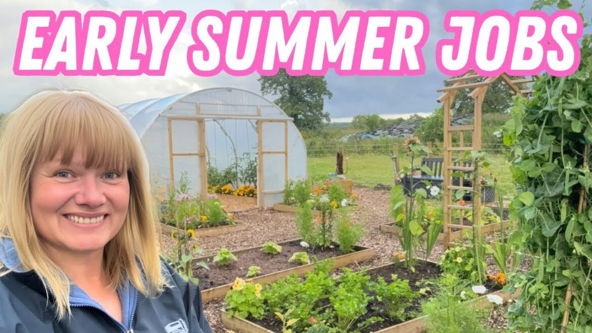July Vegetable Gardening | Exciting New Plot Addition July Vegetable Gardening | Exciting New Plot Addition