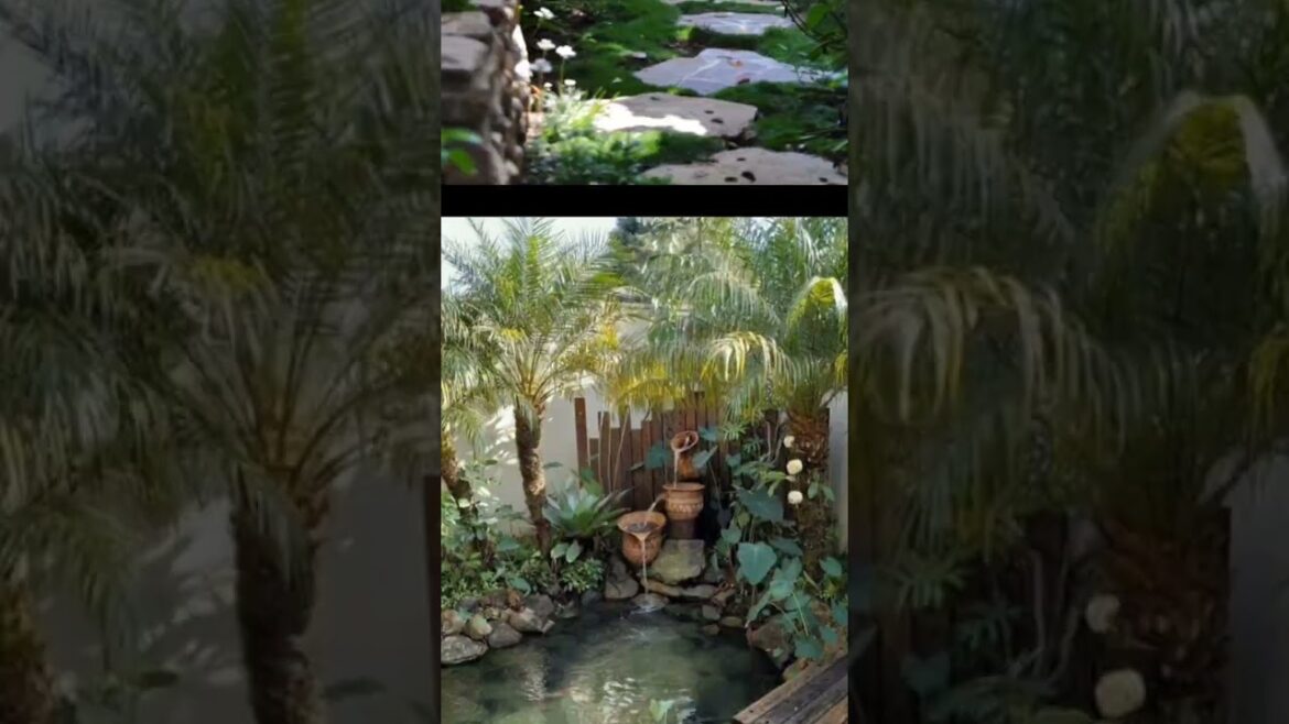 Ideas for small garden design | Small yard landscaping ideas