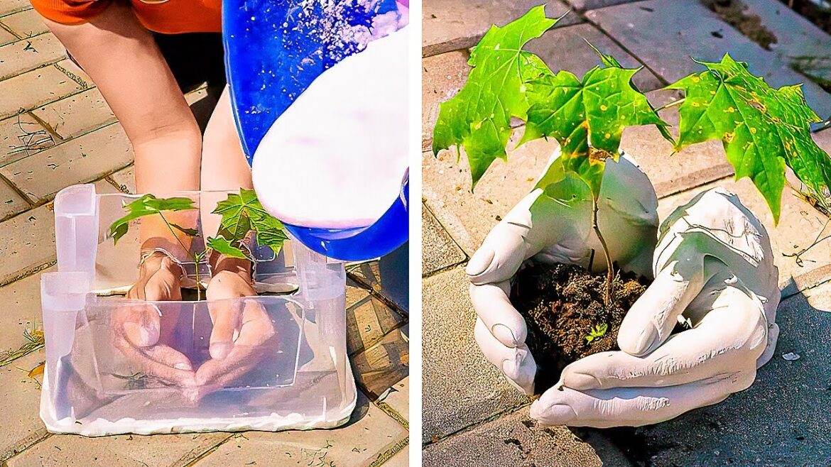 DIY Cement Flower Pot & Plant-Care Hacks to Make Your Garden POP DIY Cement Flower Pot & Plant-Care Hacks to Make Your Garden POP