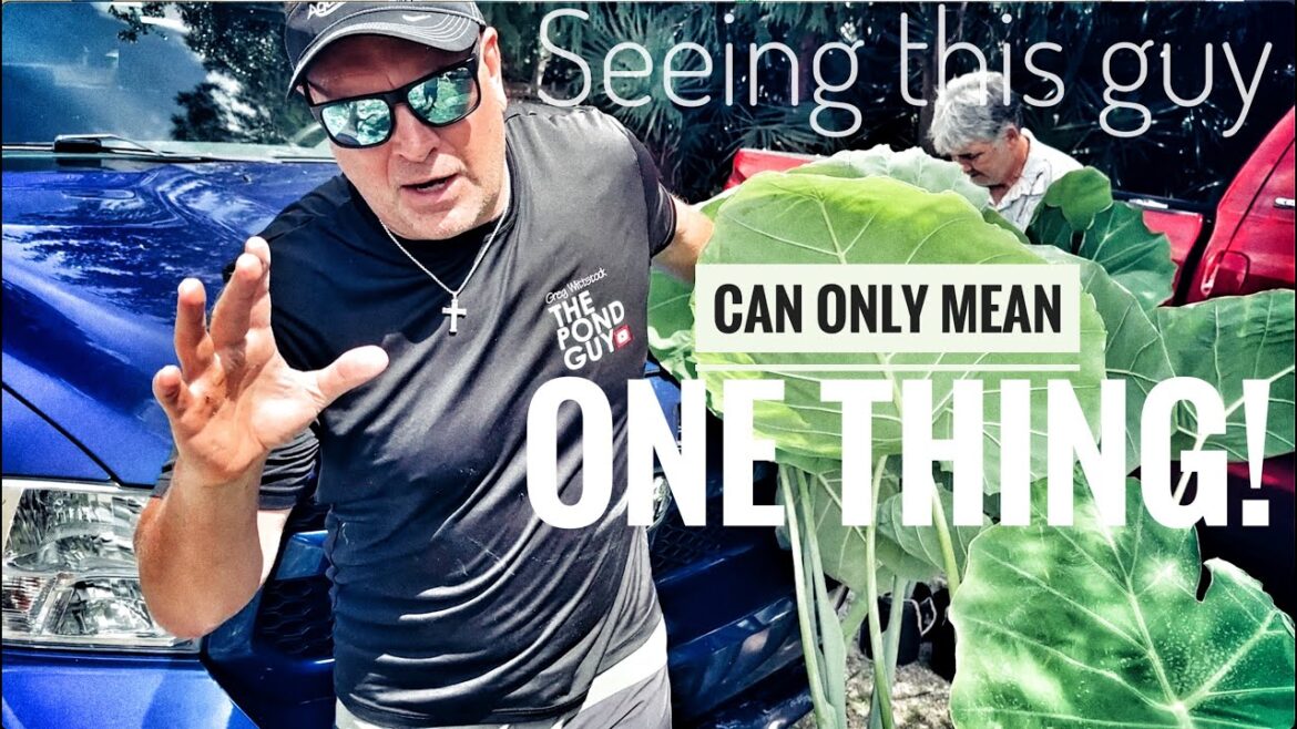 The Pond Guy discusses NEW PLANS for the Kamp!