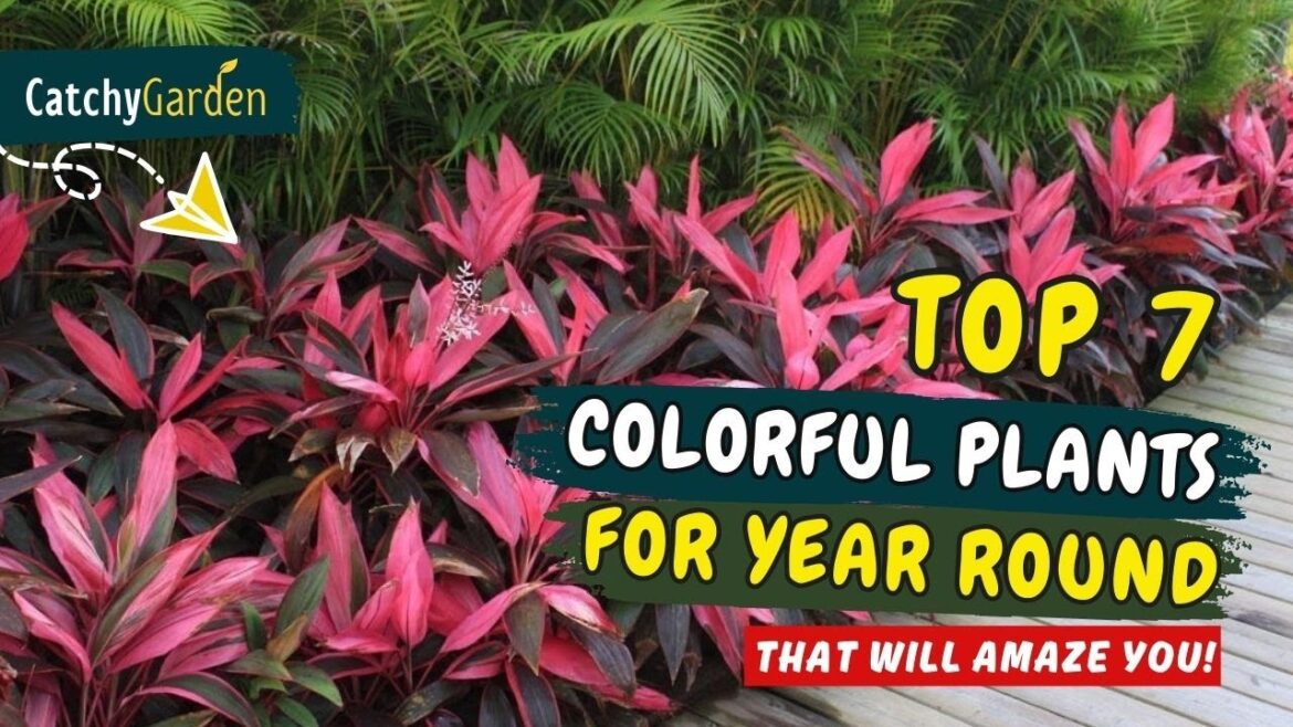 TOP 7 PLANTS FOR A YEAR-ROUND COLORFUL GARDEN! ๐ฟ๐บ // Gardening Ideas TOP 7 PLANTS FOR A YEAR-ROUND COLORFUL GARDEN! ๐ฟ๐บ // Gardening Ideas