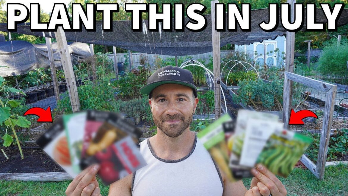 10 Awesome Veggies You Should Plant In July Right Now!