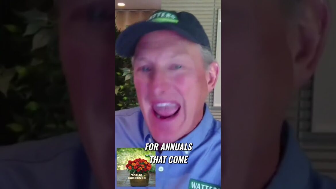 The Truth About Organic Vinegar Weed Killers