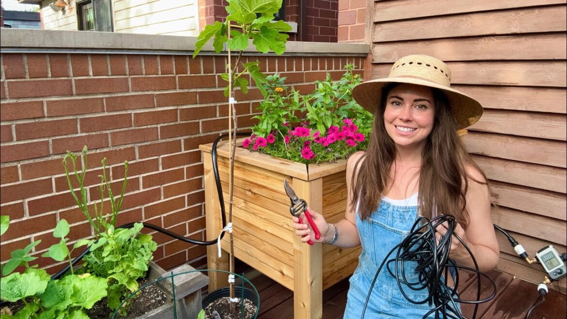 Setting Up Irrigation In My Container Garden! Why I’m Replacing My Current System Setting Up Irrigation In My Container Garden! Why I'm Replacing My Current System