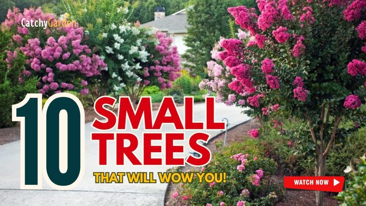 πΏ SECRET TO A VIBRANT YARD: 10 SMALL TREES THAT WILL WOW YOU! π·π³ // Gardening Ideas πΏ SECRET TO A VIBRANT YARD: 10 SMALL TREES THAT WILL WOW YOU! π·π³ // Gardening Ideas