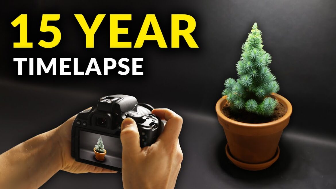 I Filmed Plants For 15 years | Time-lapse Compilation I Filmed Plants For 15 years | Time-lapse Compilation