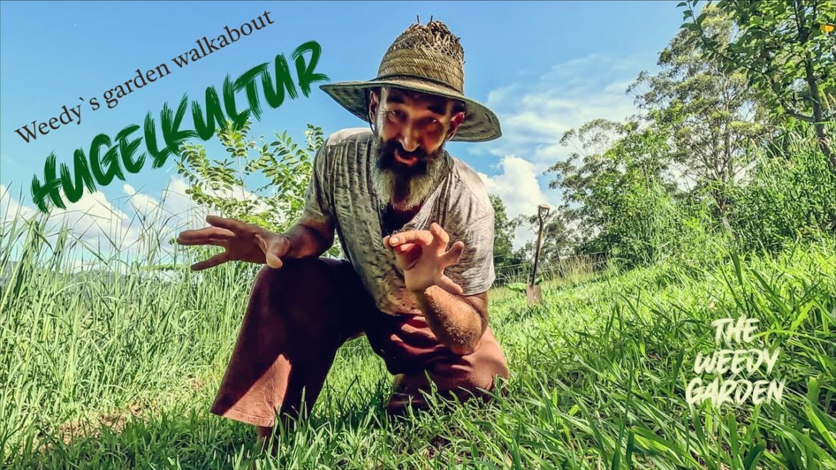 HUGELKULTUR -Weedy`s Garden Walkabout HUGELKULTUR -Weedy`s Garden Walkabout