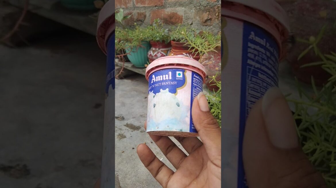 gardening ideas l gardening tips #gardeninglovers #plantslover #shorts #shortvideo #youtubeshorts