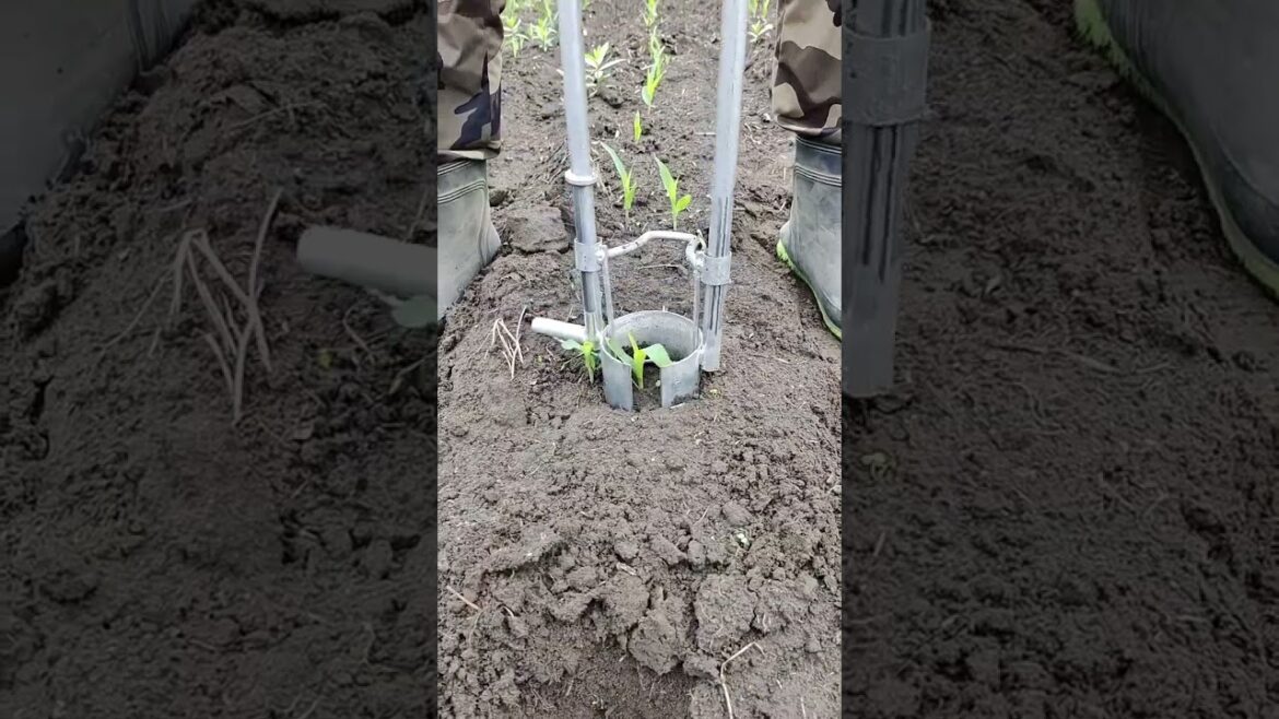 Rural Farmer are an essential part of our society #17127