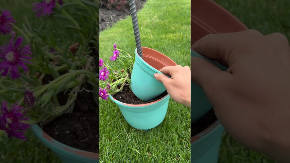 #DIY Topsy Turvey Planter #garden #gardening