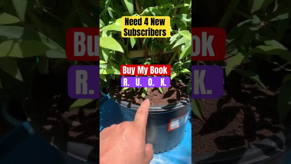 R. U. O. K. #garden #ediblegardening #fruittrees #gardencompost #gardening #gardening #ediblegarden