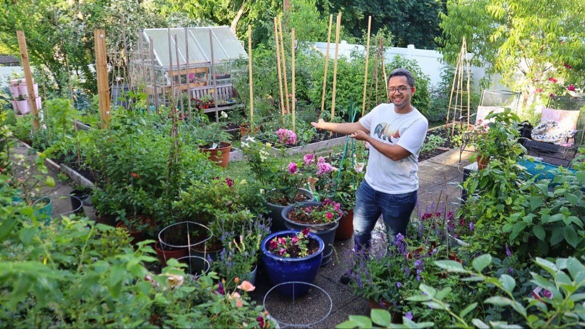 Beautiful NY Backyard Garden Tour // Early June 2024 | Chris’s Garden Beautiful NY Backyard Garden Tour // Early June 2024 | Chris's Garden