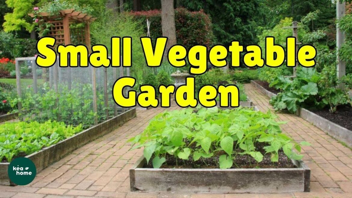 Inspiring Backyard Vegetable Garden Designs For Every Home Small Backyard Garden Design Ideas