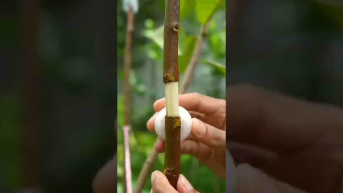 #short🤙✍ #trending #viral #trends