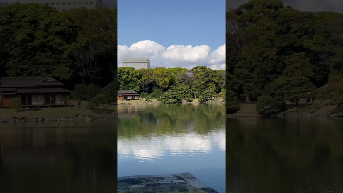 Hama Rikyu Gardens TOKYO SAKURA Season Beautiful #Japan #landscape Edo Tea Houses #tokyo #spring Hama Rikyu Gardens TOKYO SAKURA Season Beautiful #Japan #landscape Edo Tea Houses #tokyo #spring
