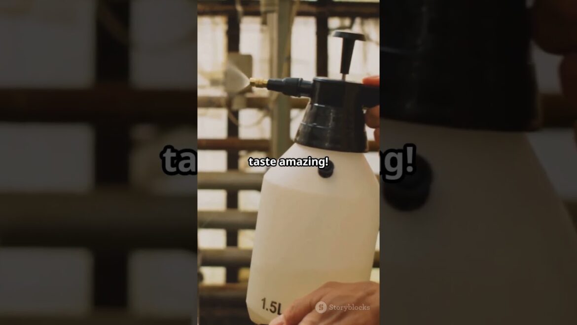 House Gardening tips #plants #garden #gardening #gardeningtips #housegarden #citygarden #planting