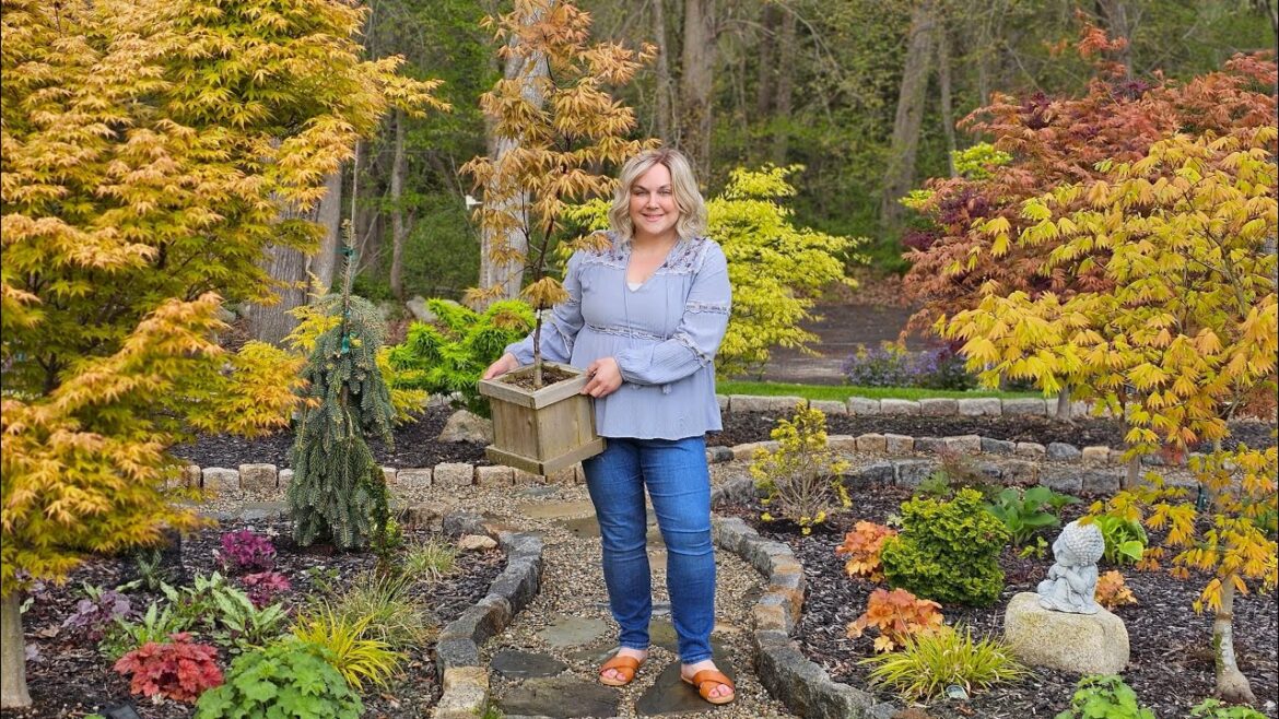 Tour my Japanese Maple Collection & DIY Japanese-Inspired Garden. Spring Garden Tour.