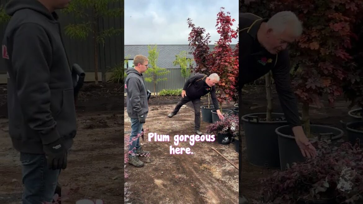 Get a Sneak Peek as We Unload Gavin's Plants