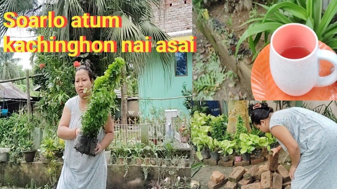 Atok ano si pangkep etlo kopulang adim ave etlo k jo || Cleaning at home garden @Nirmali life Atok ano si pangkep etlo kopulang adim ave etlo k jo || Cleaning at home garden @Nirmali life