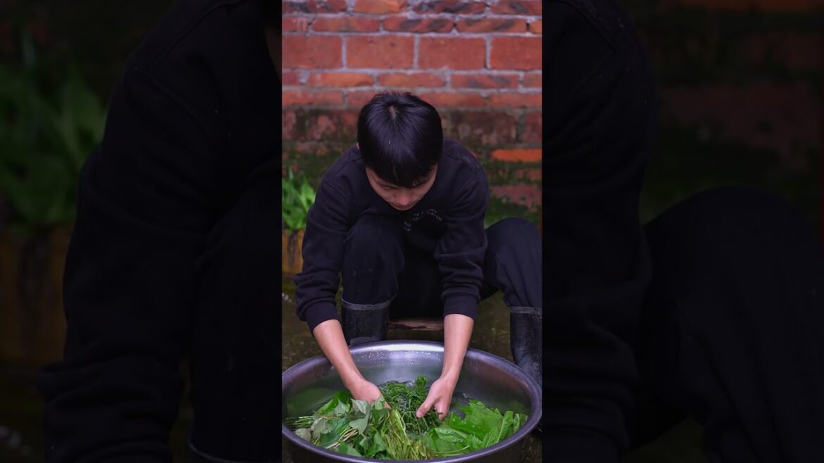 Go to forest find some edible vegetables #shorts #harvesting #harvest #farming #gardening #growfood