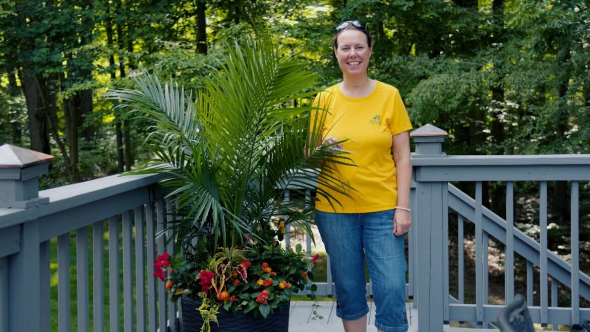 PETITTI | Building an Easy Tropical Container Garden PETITTI | Building an Easy Tropical Container Garden