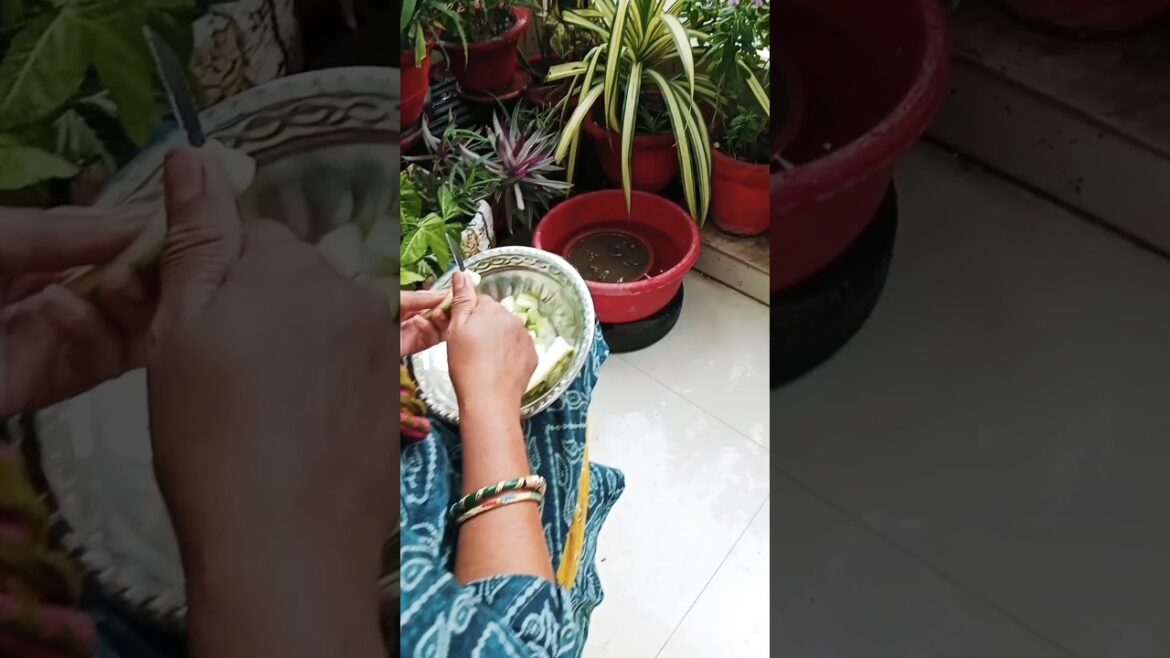 Gardening give peace relaxation #gardening #shortsfeed #garden#plants 💚🪴🤍🤍