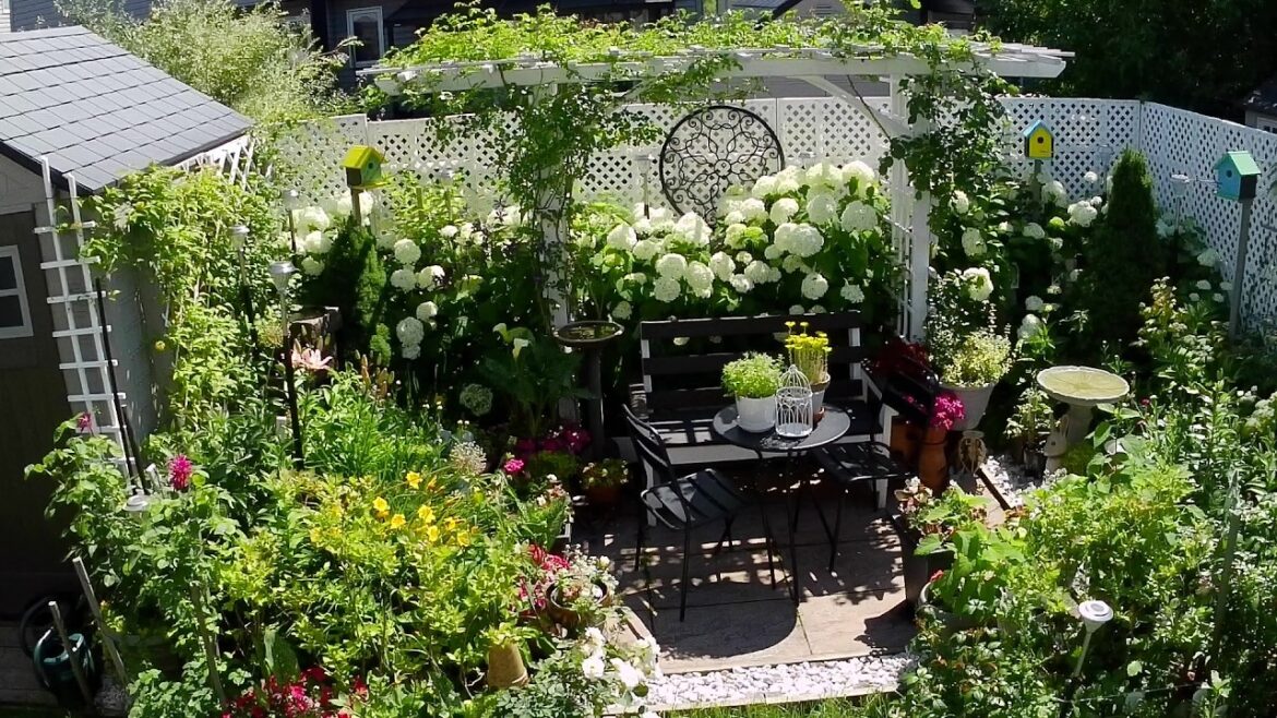 SUMMER Full Tiny Backyard Garden Tour | Relaxing Plants and Flowers #garden #gardening #flowers SUMMER Full Tiny Backyard Garden Tour | Relaxing Plants and Flowers #garden #gardening #flowers