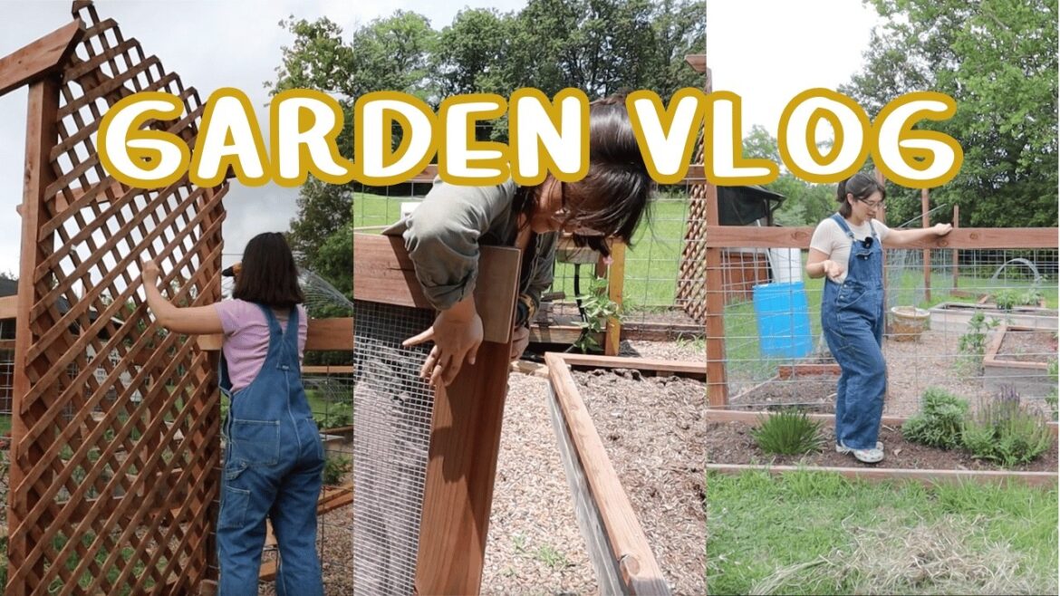 GARDEN VLOG | taking care of my neglected garden structure GARDEN VLOG | taking care of my neglected garden structure