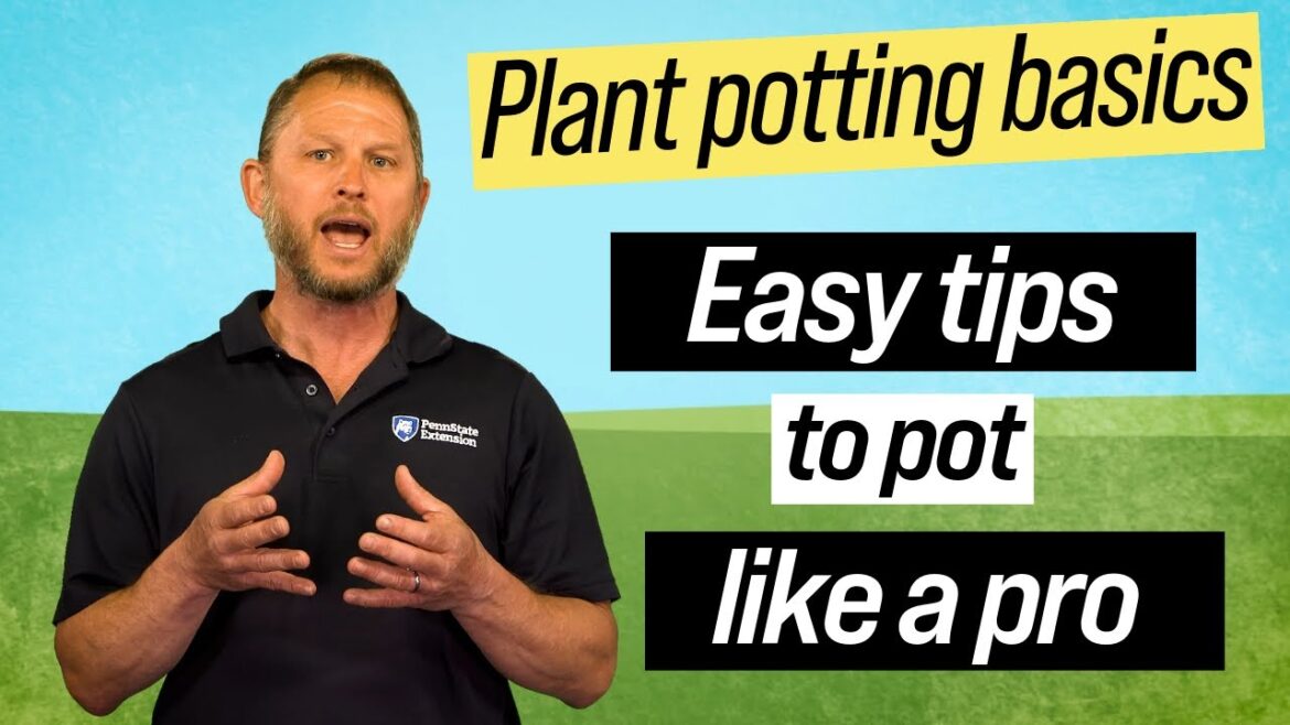 Easy tips for potting plants | Year-Round Gardening | Garden tips