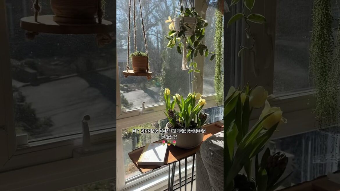 DIY Spring Container Garden: Part 2 #momvlog #gardening #containergardening #diyideas #diyhomedecor DIY Spring Container Garden: Part 2 #momvlog #gardening #containergardening #diyideas #diyhomedecor