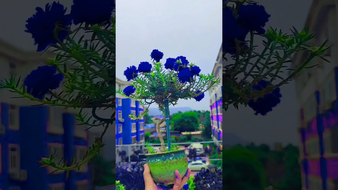 Flowers Gardening idea, #gradening #ideas  #shorts