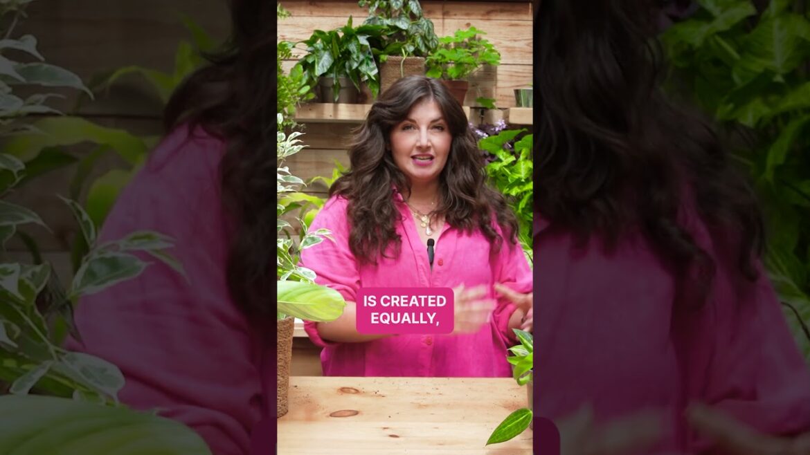 Why You Need to Know Your Home's Light Situation