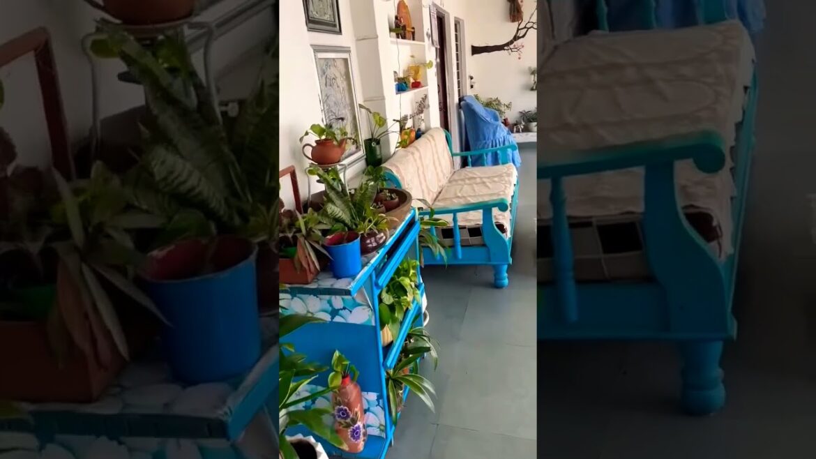 Gardening ideas #shorts #youtubeshorts #ytshorts #gardenshorts #terracegarden #gardening #plants