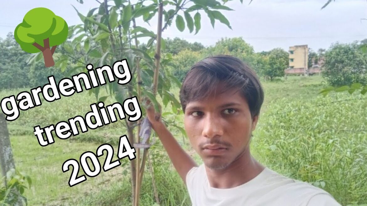 gardening trending video gardening viral video 2024