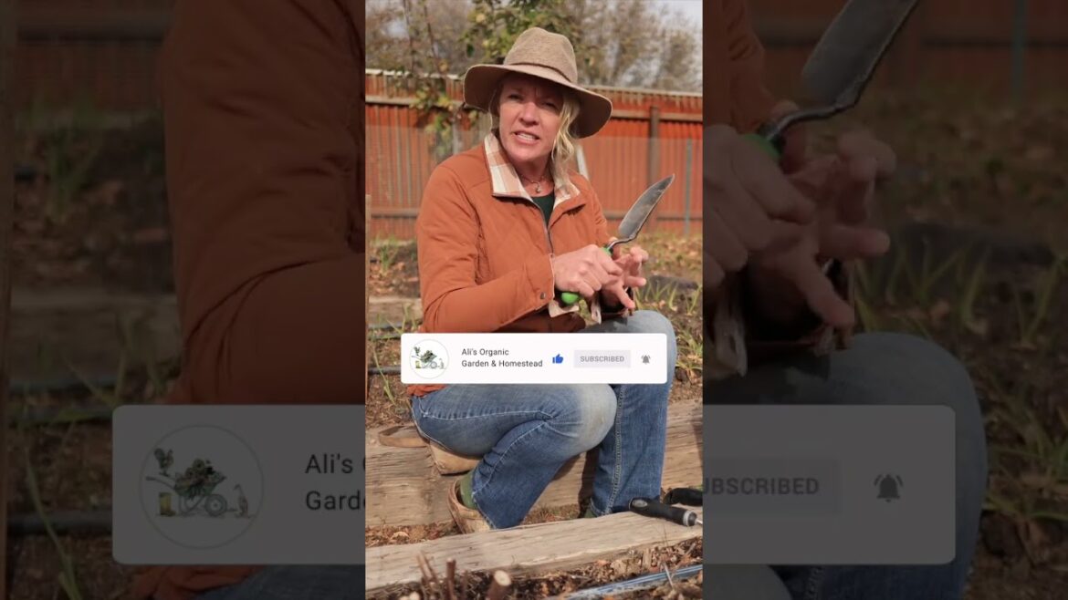 Essential Gardening Tool for the Garden