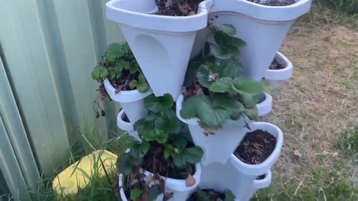 April 2023 Edible Garden Tour