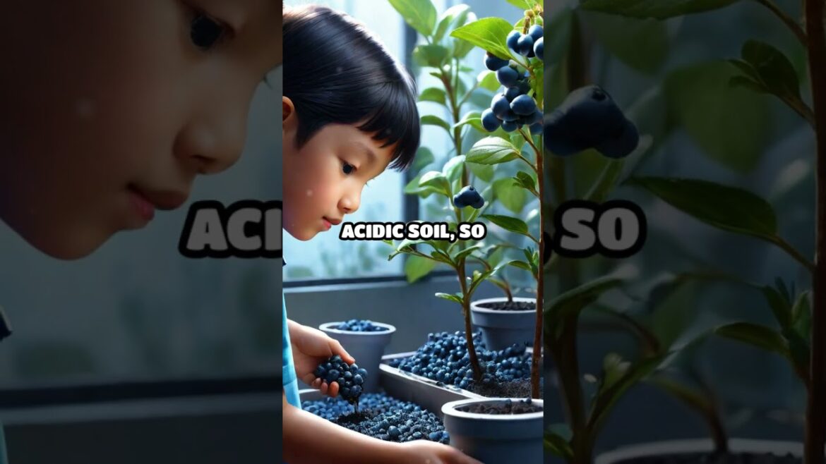 Grow Fruits Indoors!