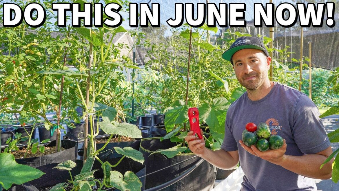 Critical June Garden Tasks Every Gardener Should Do NOW