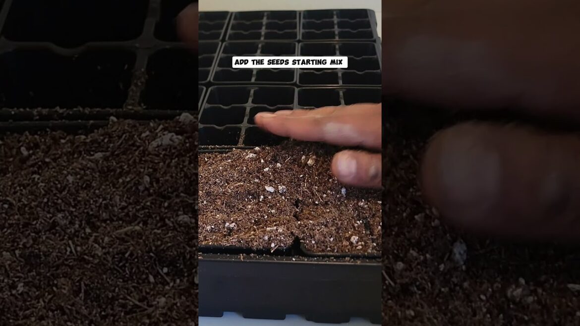 DIY Seed Starting Mix: Easy Recipe with Peat Moss, Perlite, and Gypsum!