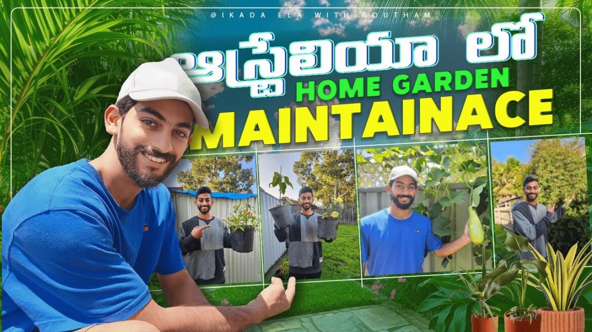 Home Garden Tips and Tricks | Garden Ideas | Compost Making At Home Home Garden Tips and Tricks | Garden Ideas | Compost Making At Home