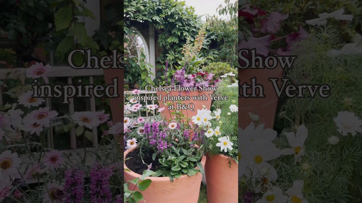 Create Chelsea Flower Show inspired planters with @gardenthirtythree 🌺🪴🪻 #Howto #BandQ #Verve Create Chelsea Flower Show inspired planters with @gardenthirtythree 🌺🪴🪻 #Howto #BandQ #Verve