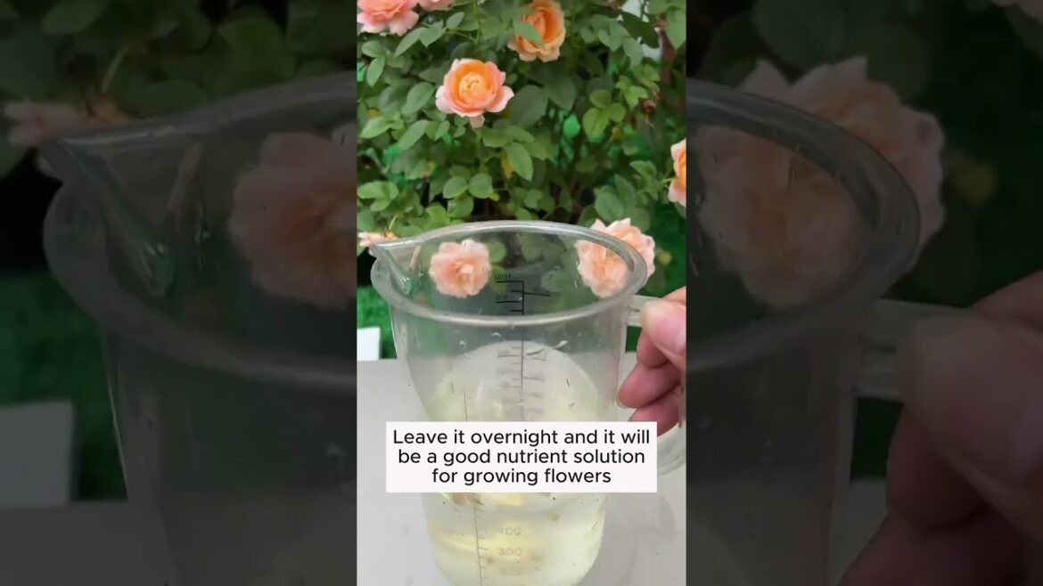 Subscribe for more such Gardening Tips & Ideas 👈🍁 #garden #gardening #gardeningideas #gardeningtips