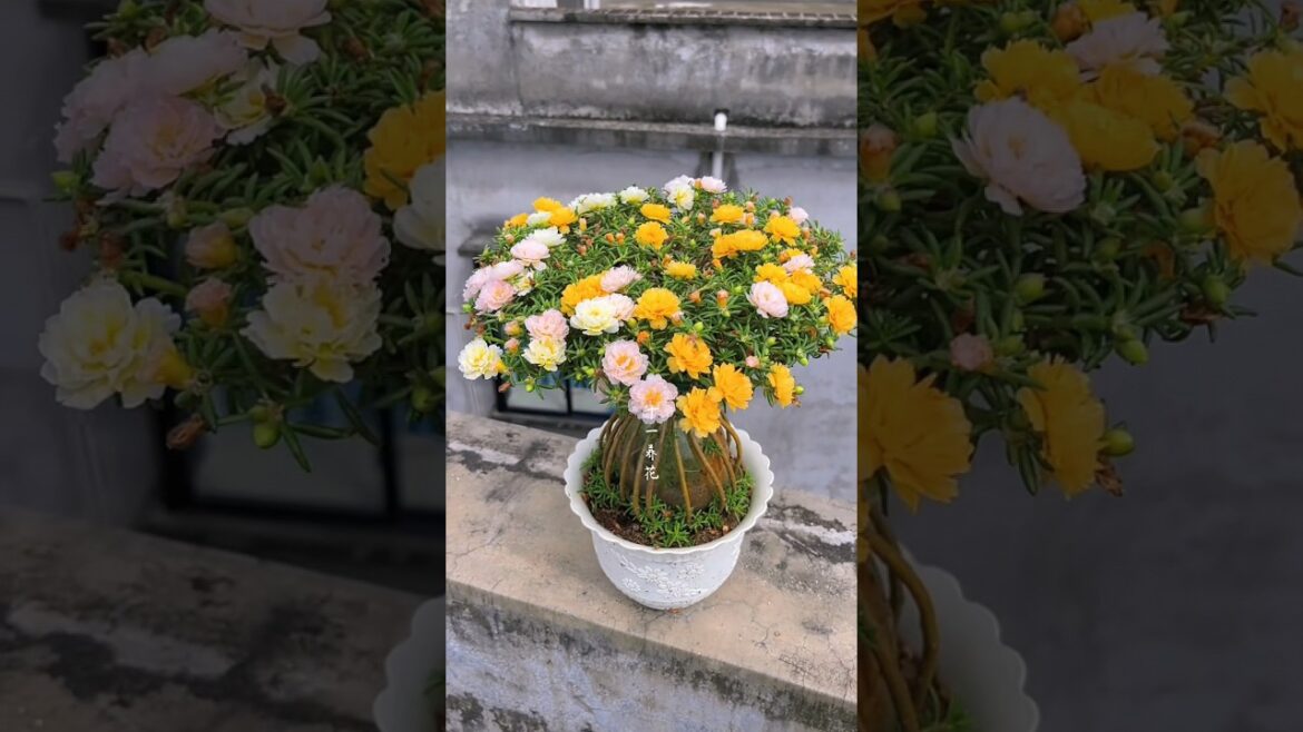 Best planting ideas #gradening #shorts #diy