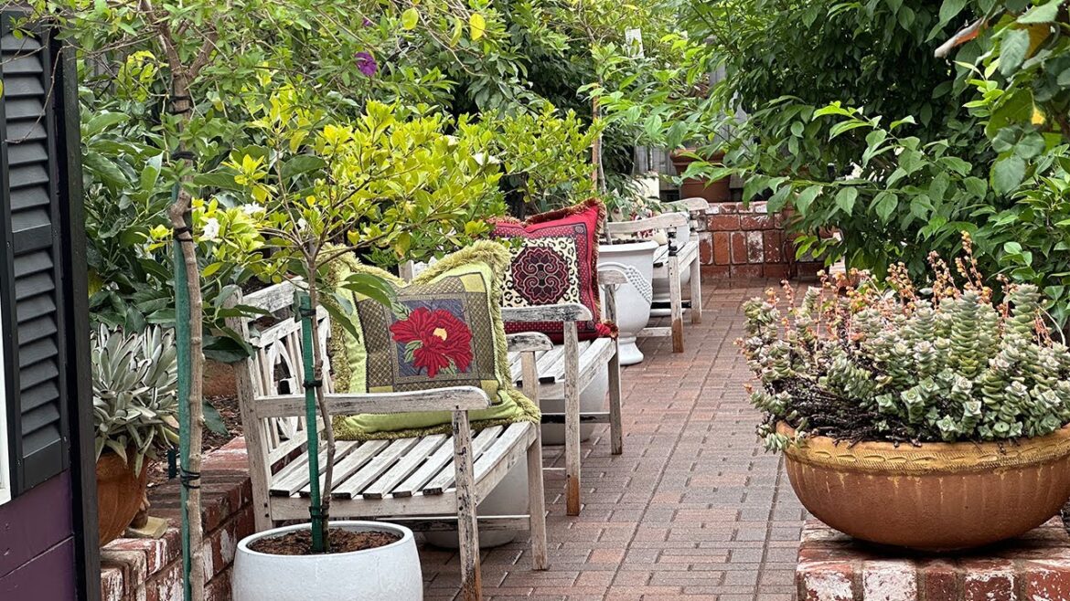 Relaxing Tour of Lush Backyard Garden