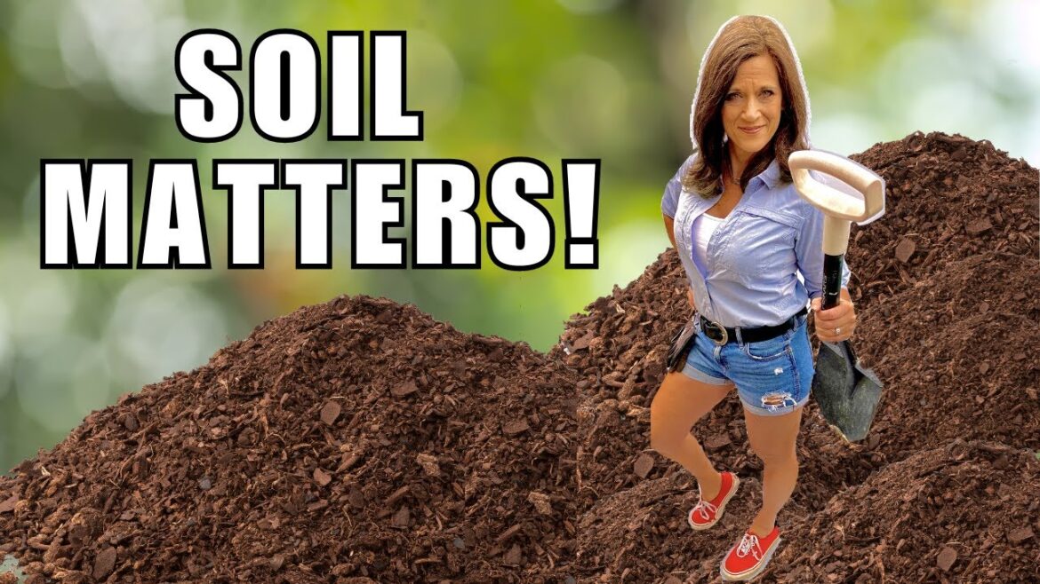 🍅 LIVE: Why Soil Health Matters Most in Summer: 3 Essential Tips