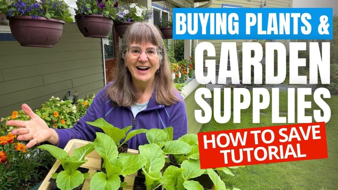 How To Save Money Shopping For Plants and Garden Supplies How To Save Money Shopping For Plants and Garden Supplies