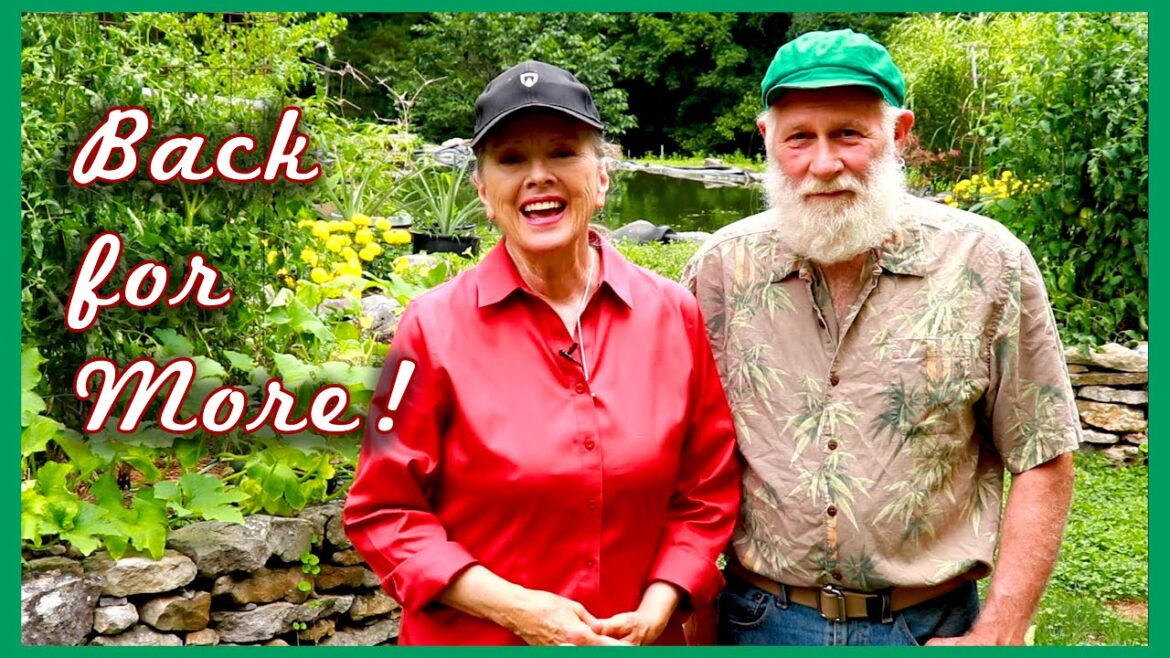 BAMBOO OASIS | Beans, Pests, Summer Garden Tour!