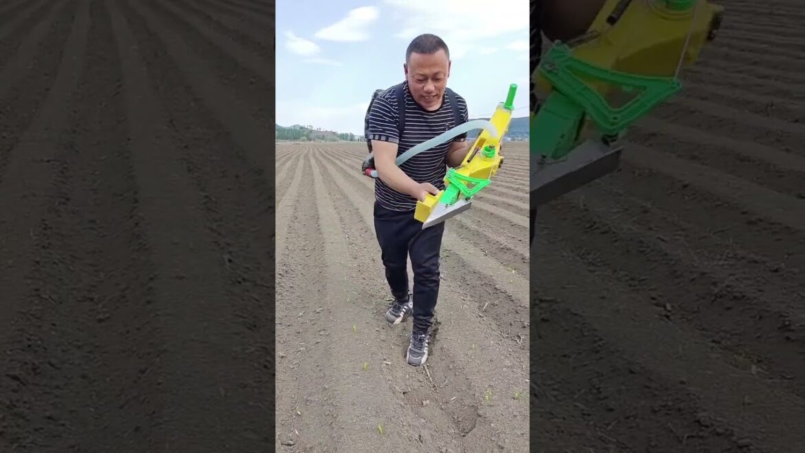 Rural Farmer of crop production #17690