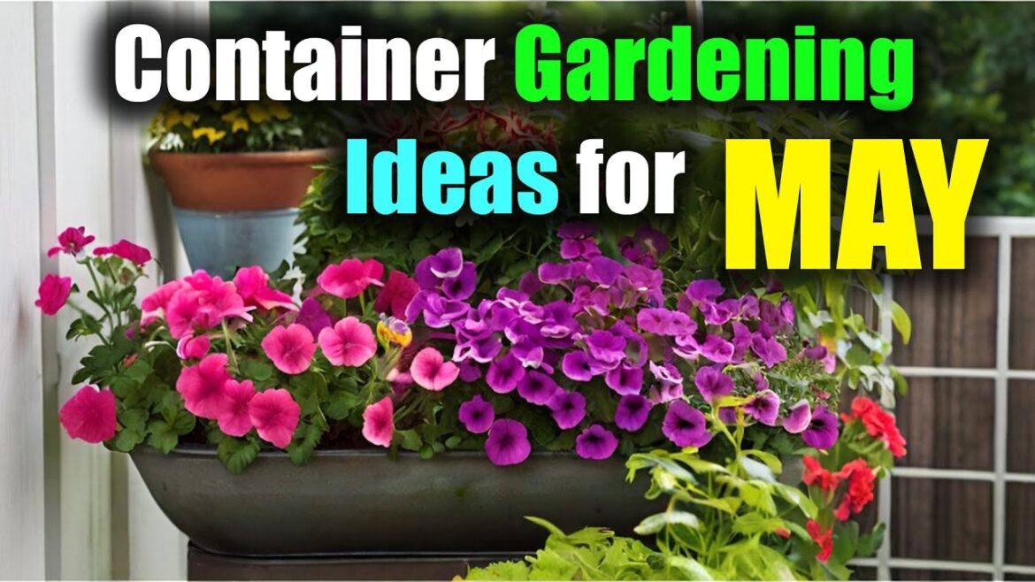 Container Gardening Ideas for May | Spring Herb Garden In Containers Container Gardening Ideas for May | Spring Herb Garden In Containers